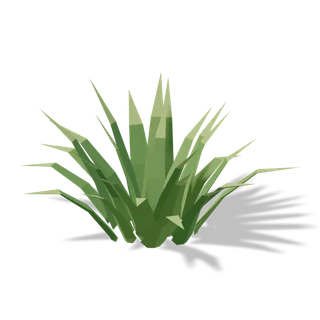 grass 03