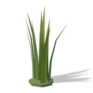 grass 04