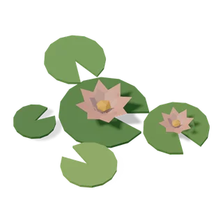lilypad 02