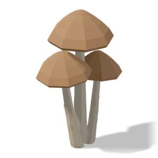 mushrooms 02