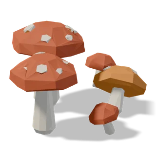mushrooms 03