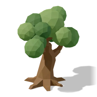 oak 01, in the free edition