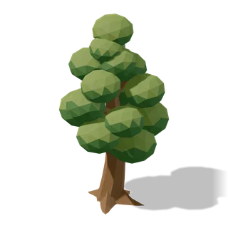 oak 03